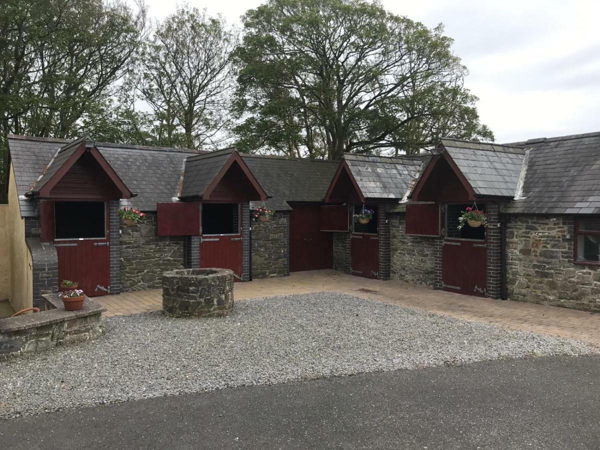アベリストウィス Llangwyryfon Country Breaks Bed & Breakfast エクステリア 写真