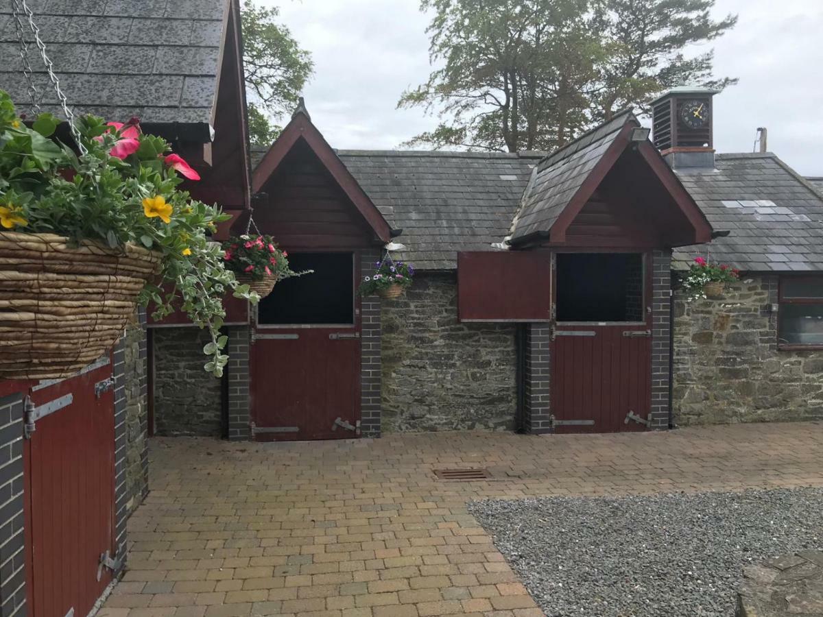 アベリストウィス Llangwyryfon Country Breaks Bed & Breakfast エクステリア 写真