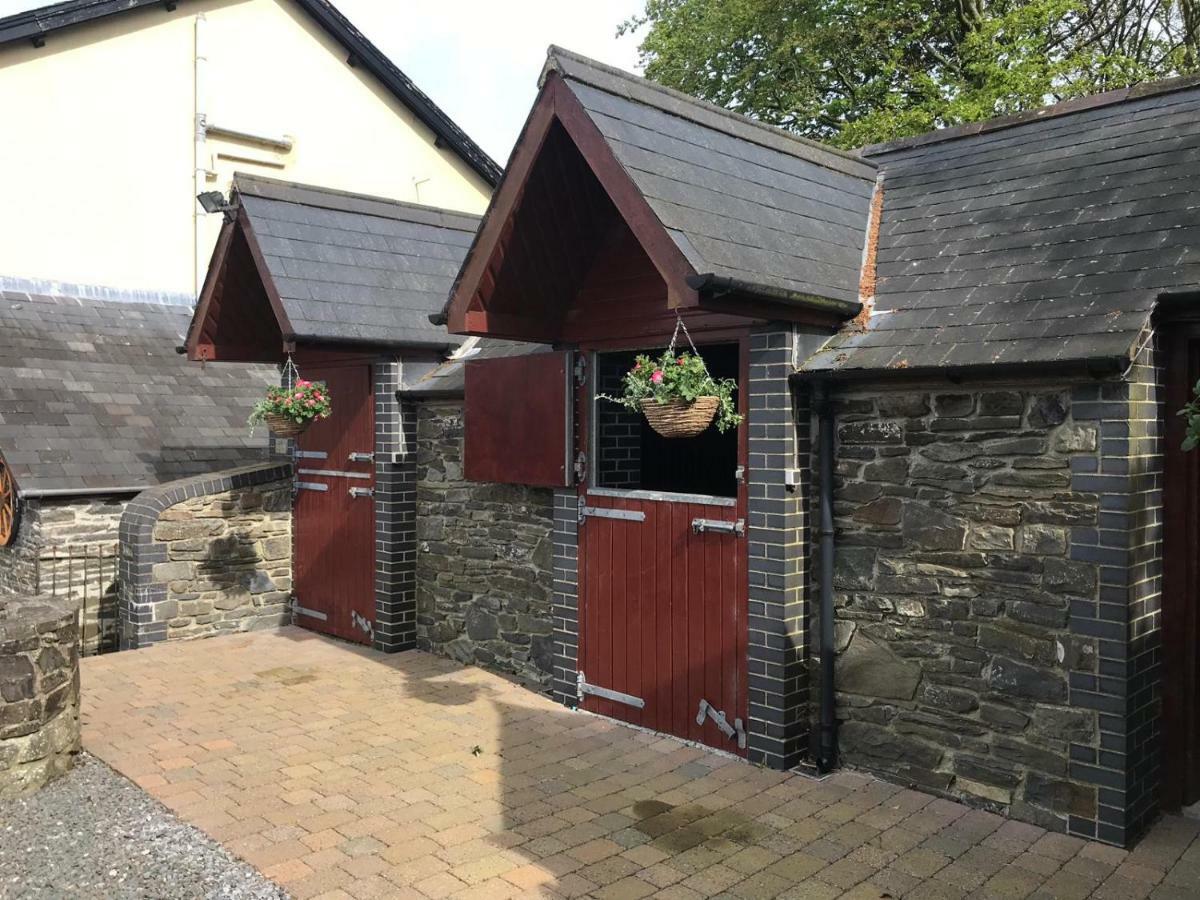 アベリストウィス Llangwyryfon Country Breaks Bed & Breakfast エクステリア 写真