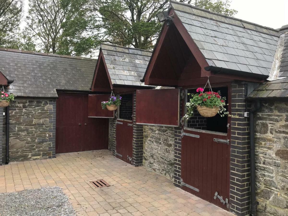 アベリストウィス Llangwyryfon Country Breaks Bed & Breakfast エクステリア 写真